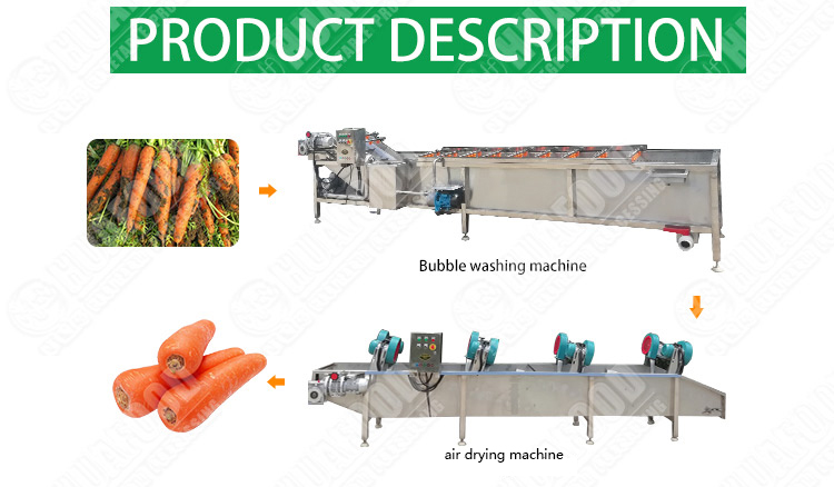 Automatic Apple Washer Dryer Machine Line|Fruit And Vegetables Cleaning Dry line - Company News - 1