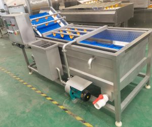 Vegetable washing machine escorts industrial development